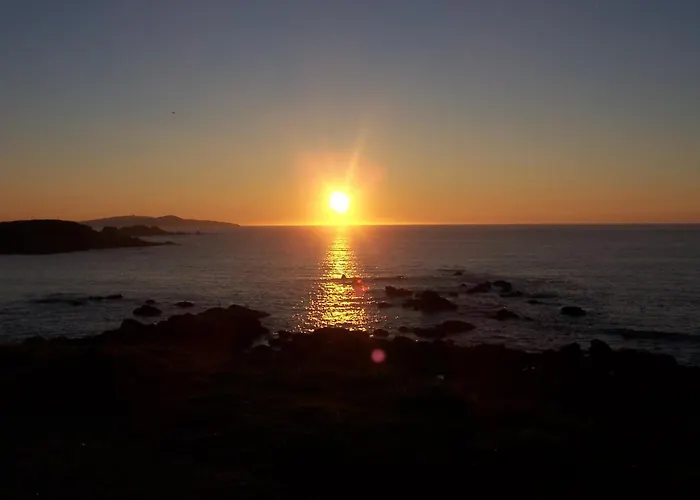 9 Olas